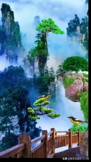 临沂高新税务：“首违不罚”描绘特色“枫”景线
